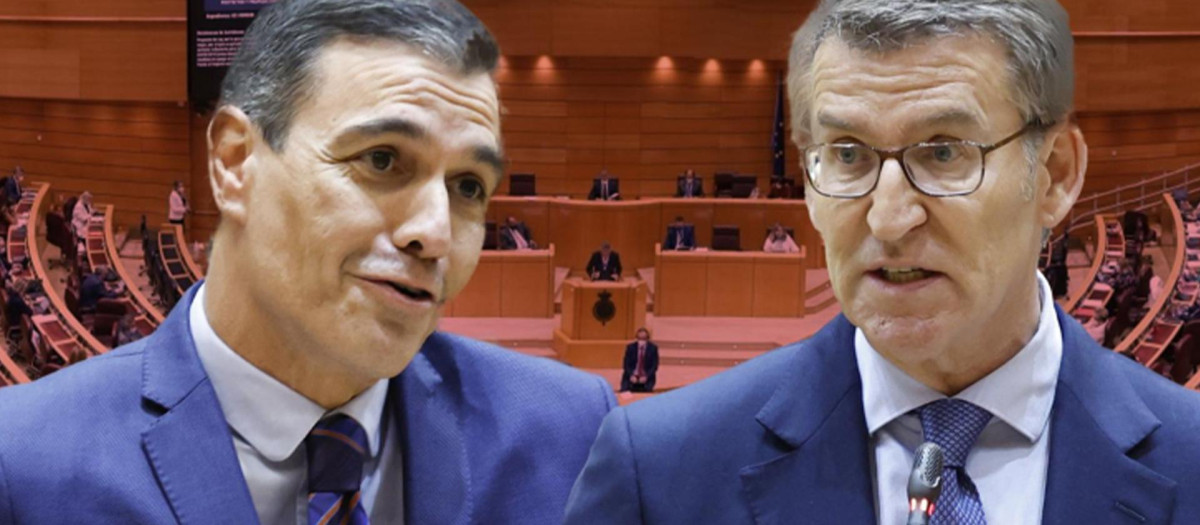 Pedro Sánchez y Feijóo, en el Senado