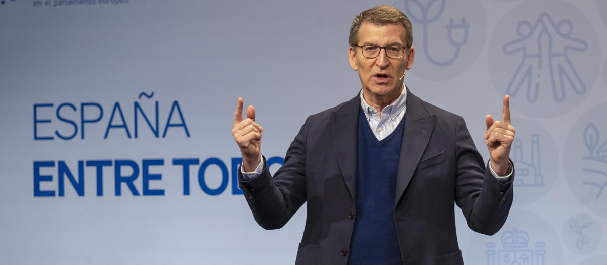 Alberto Núñez Feijóo, presidente del Partido Popular