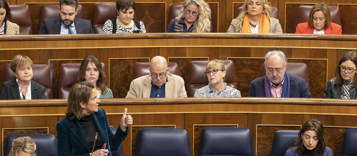Parte de la bancada del PSOE, la semana pasada en el pleno