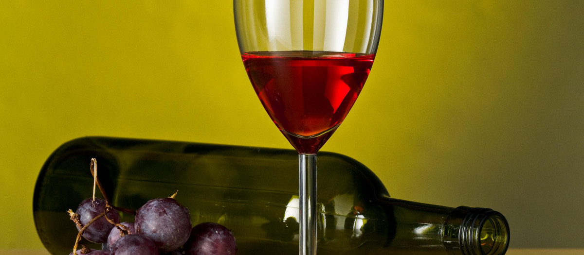 wine.glass,chalice,tumbler,drink,wine,alcohol,bottle,berries,grapes,bunches of grapes,red,restaurant,bar,tavern,glass,chalice,tumbler,food,aliment,object,macro,close-up,macro admission,close up view,drink,drinking,bibs,liquid,closeup,bear,elegance,black,swarthy,jetblack,deep black,wine,blank,european,caucasian,reflection,alcohol,wine glas,grapes,studio,fruit,contrast,party,celebration,berries,banner,transparency,wine bottle,bordeaux,burgundian,squandering,waste,table,winery,empty,backdrop,background,bunches of grapes,red,harness,stuffed,fillet,alcoholic,rebe,merlot,cabernet,gourmet,sauvignon,chardonnay