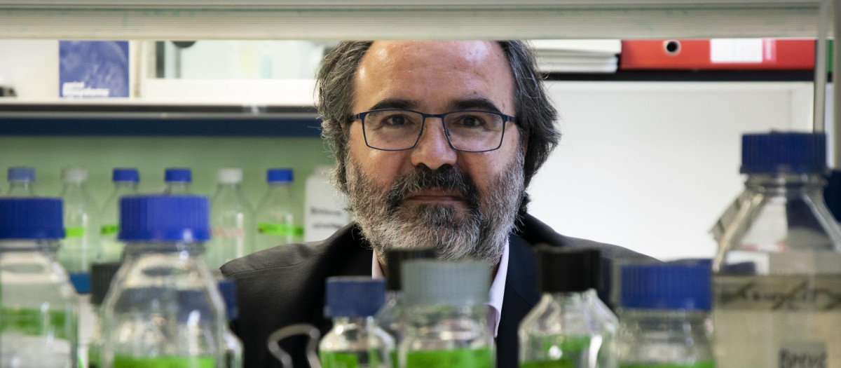 El genetista Lluís Montoliu, presidente del Comité de Ética del CSIC