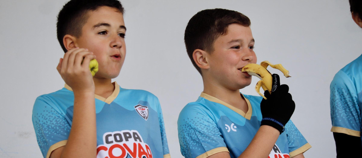 La alimentación saludable y equilibrada es clave para el mantenimiento de la microbiota