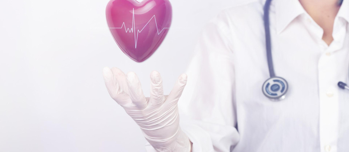 Las enfermedades cardiovasculares son la primera causa de muerte y discapacidad a partir de edades medias