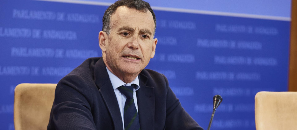 El portavoz adjunto del Grupo Popular de Andalucía, Pablo Venzal, en rueda de prensa