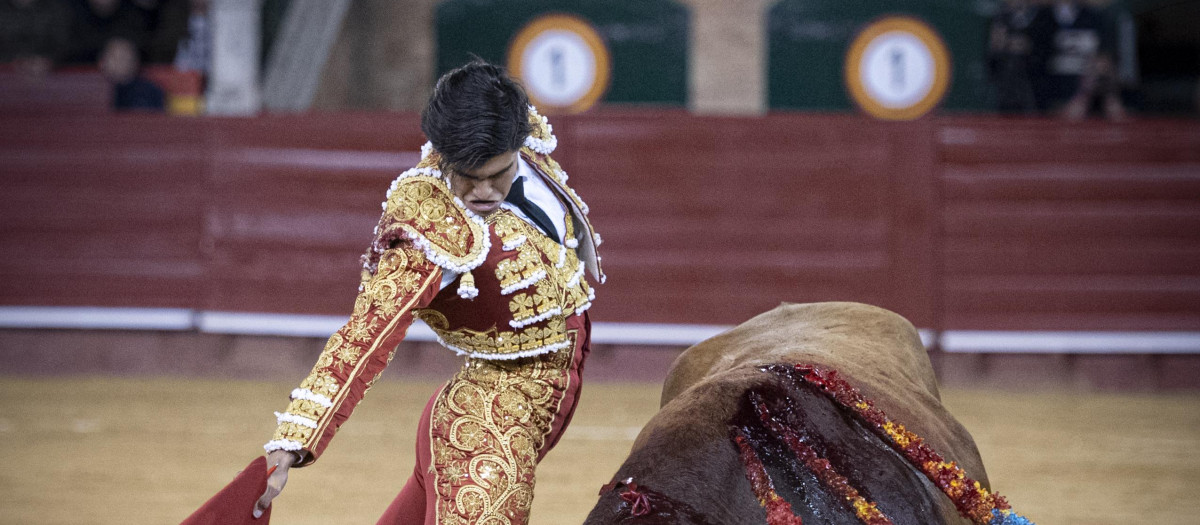 Fernando de Manuel en la plaza de toros de Valencia