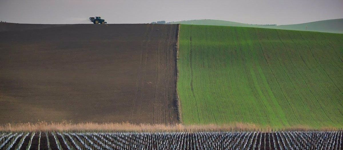 Terrenos de cultivo en Andalucía, en imagen de archivo