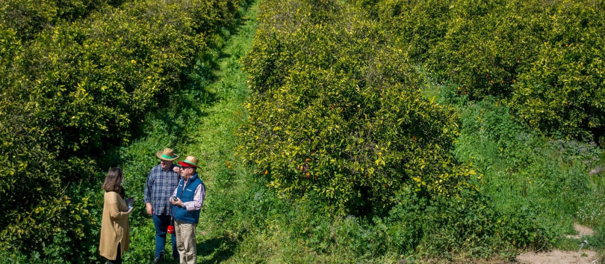 La gestión sostenible del agua en el Guadalquivir, objetivo prioritario
