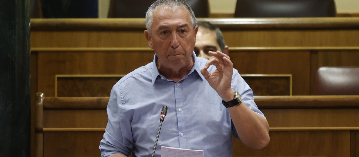 El diputado nacional de Compromís, Joan Baldoví, en el Congreso
