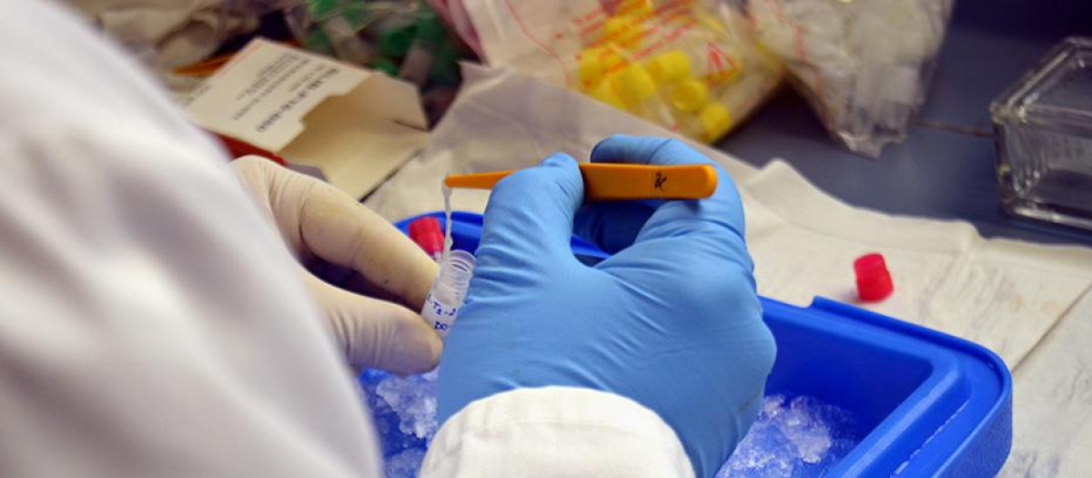 Investigación científica