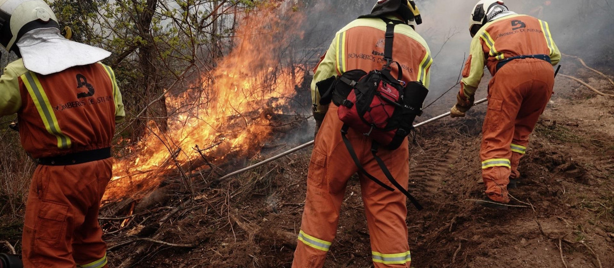 Bomberos de Asturias trabajan en el incendio de los concejos de Valdes y Tine