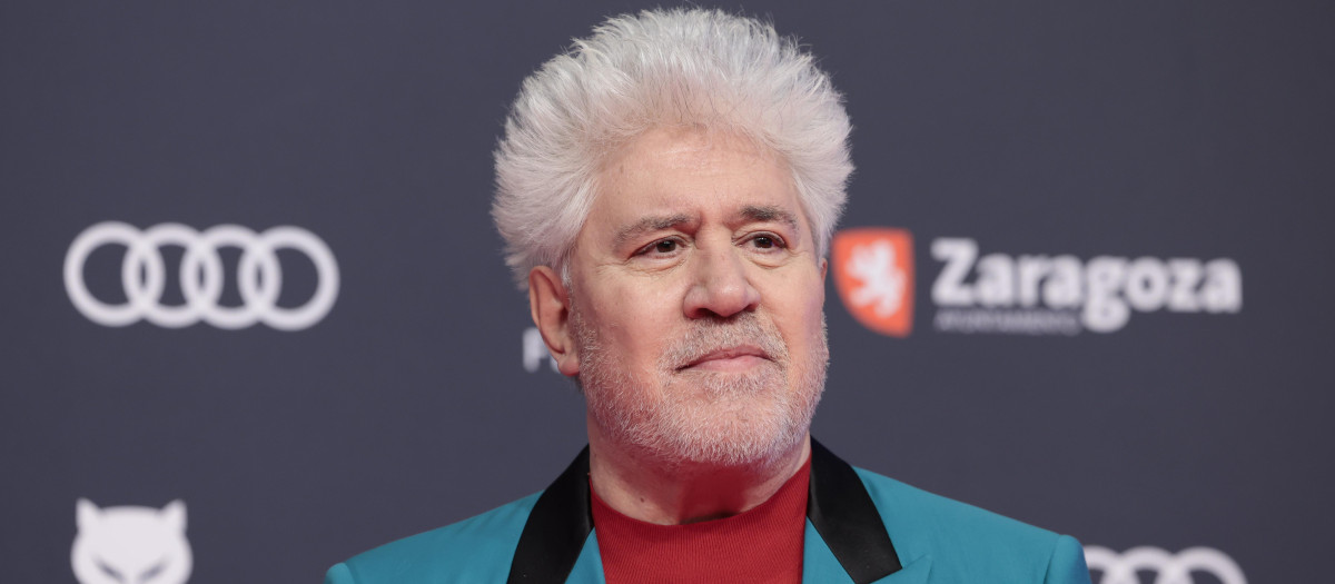 Una cinta de Almodóvar figura en la lista de las 50 mejores películas de The Hollywood Reporter