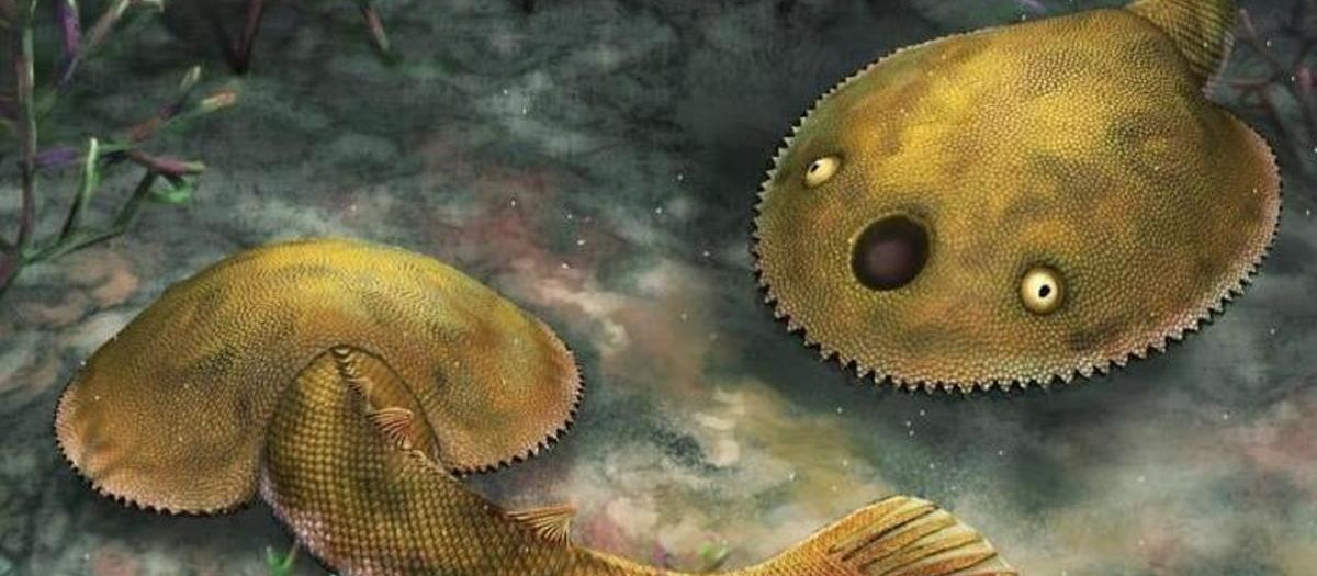 Reconstrucción del Foxaspis novemura
