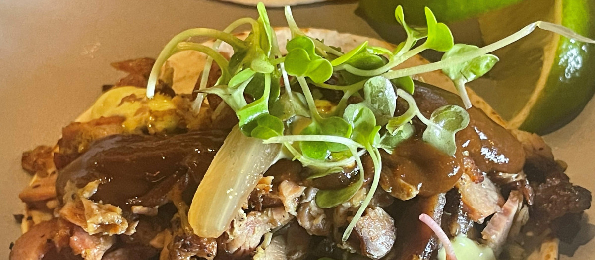 tacos lagarto