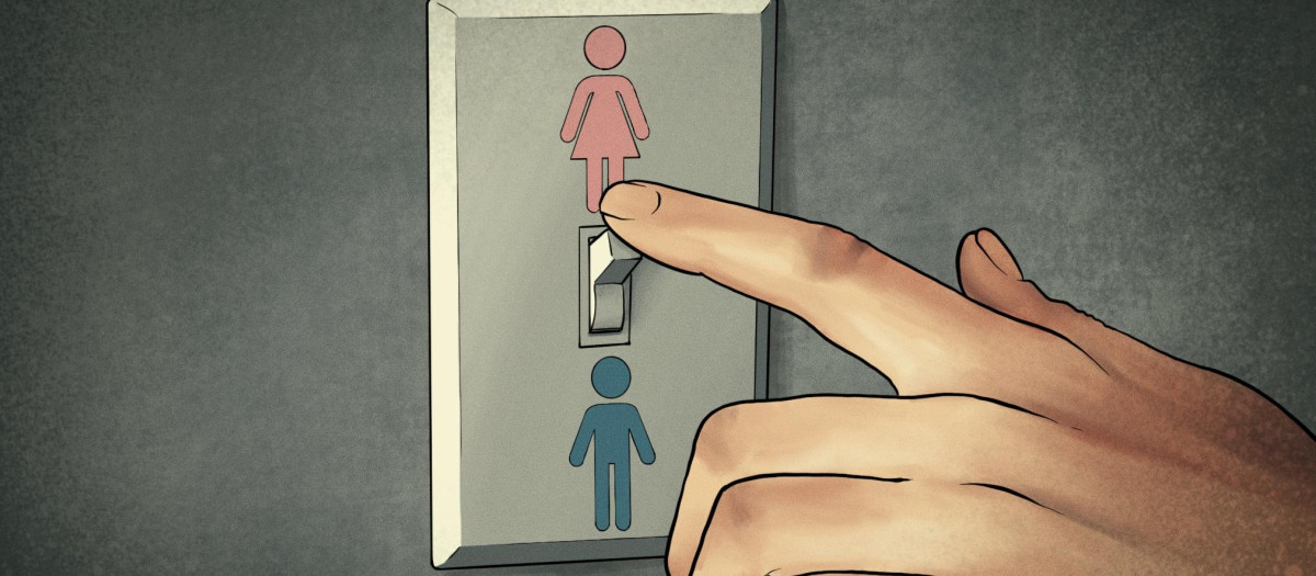 Ilustración: ley trans, cambio de sexo