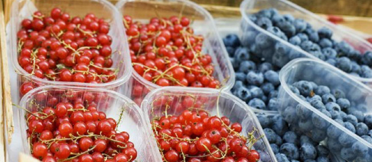 Envases de plástico en la alimentación