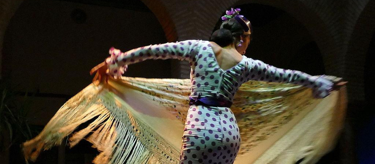 flamenco