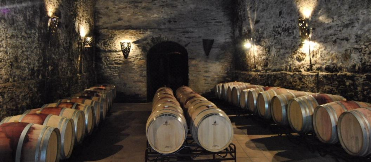 bodega de vino