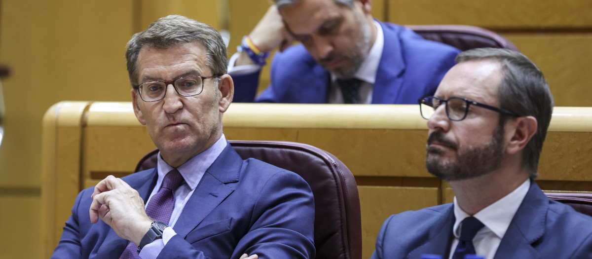 Alberto Núñez Feijóo y Javier Maroto, en sus escaños