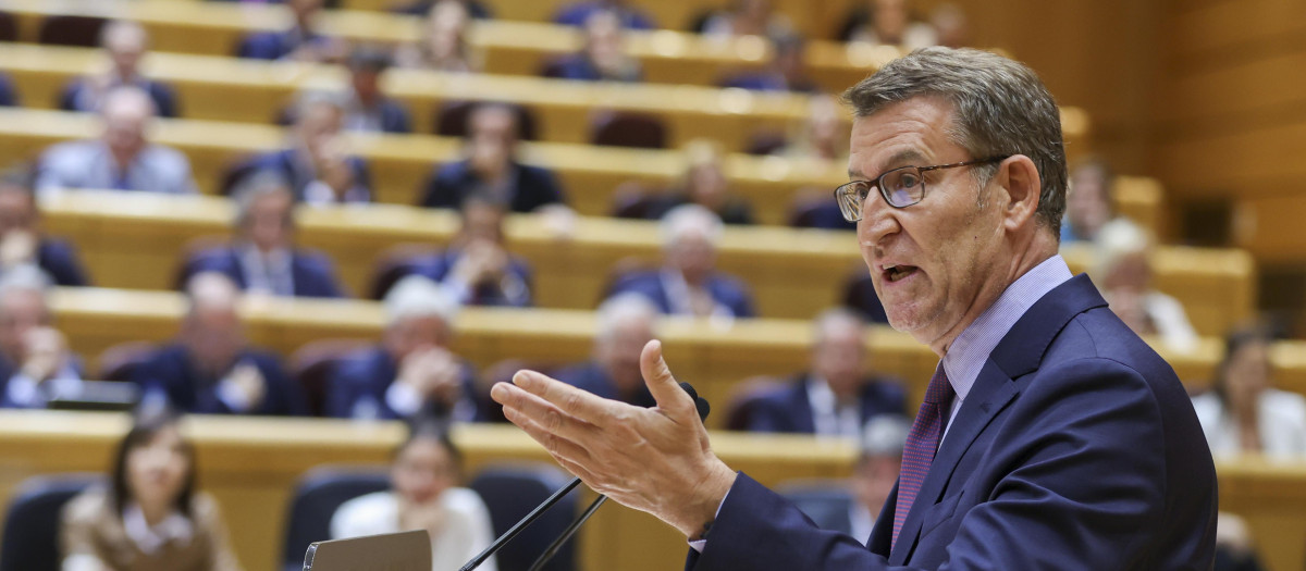 Alberto Núñez Feijóo, el martes en el Senado