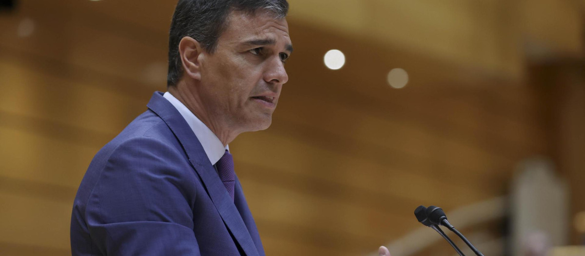Pedro Sánchez el martes en el Senado