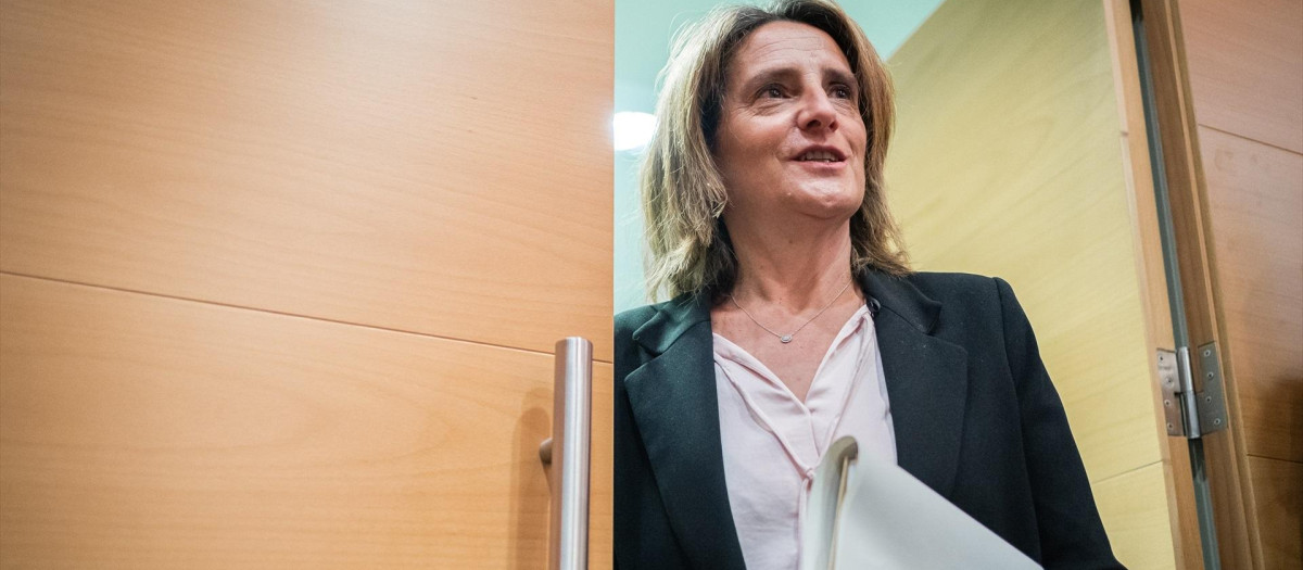 La vicepresidenta tercera y ministra para la Transición Ecológica y Reto Demográfico, Teresa Ribera