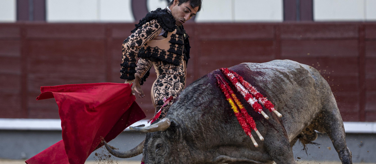 El tercer toro de la corrida de José Escolar fue premiado con la vuelta al ruedo