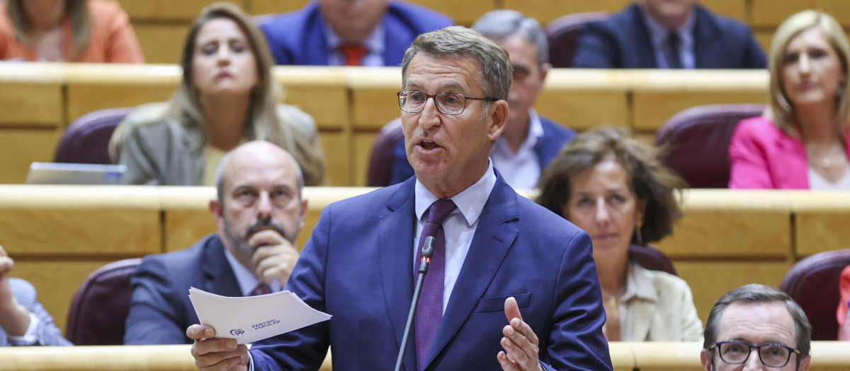 El presidente del Partido Popular, Alberto Núñez Feijóo, interviene en la sesión de control
