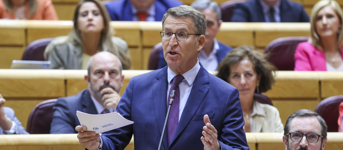 Alberto Núñez Feijóo, este martes en el Senado