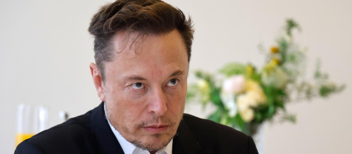 Elon Musk, en el Chateau de Versailles, a las afueras de París