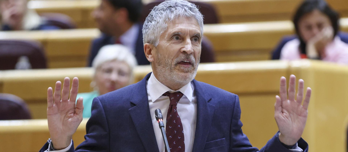 El ministro del Interior, Fernando Grande Marlaska