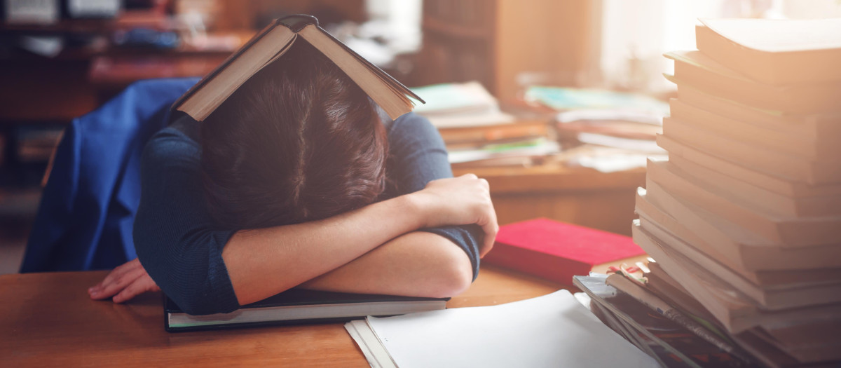 Algunos estudios tienen pocas opciones de garantizar un futuro laboral próspero