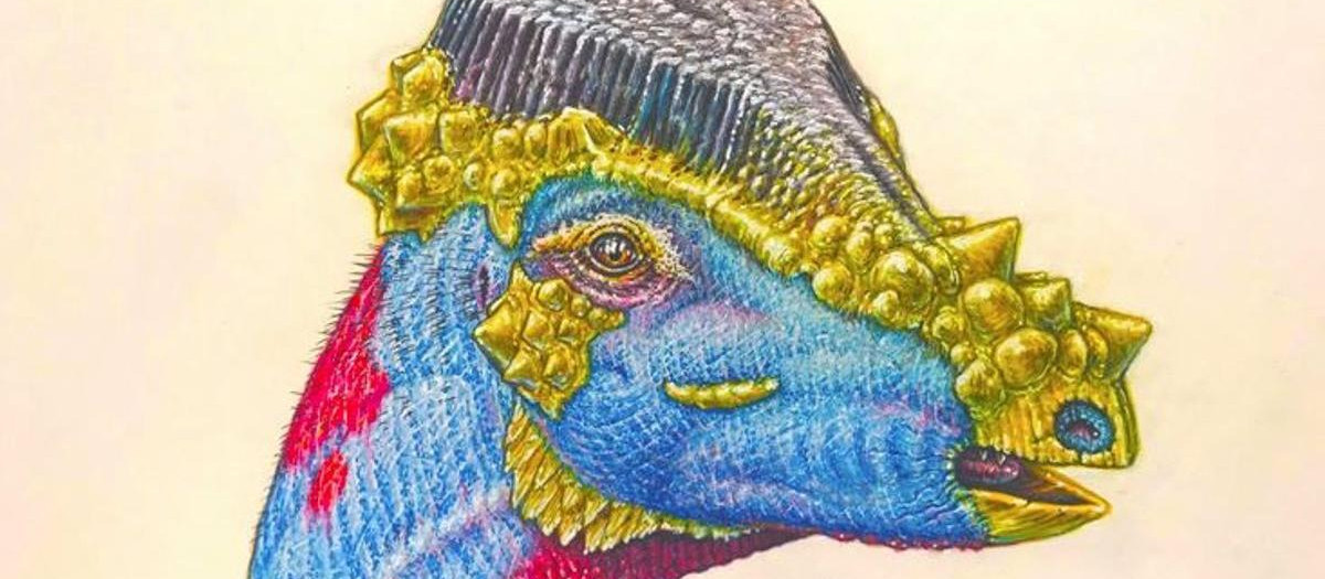 Representación de Platytholus clemensi, la nueva especie descubierta