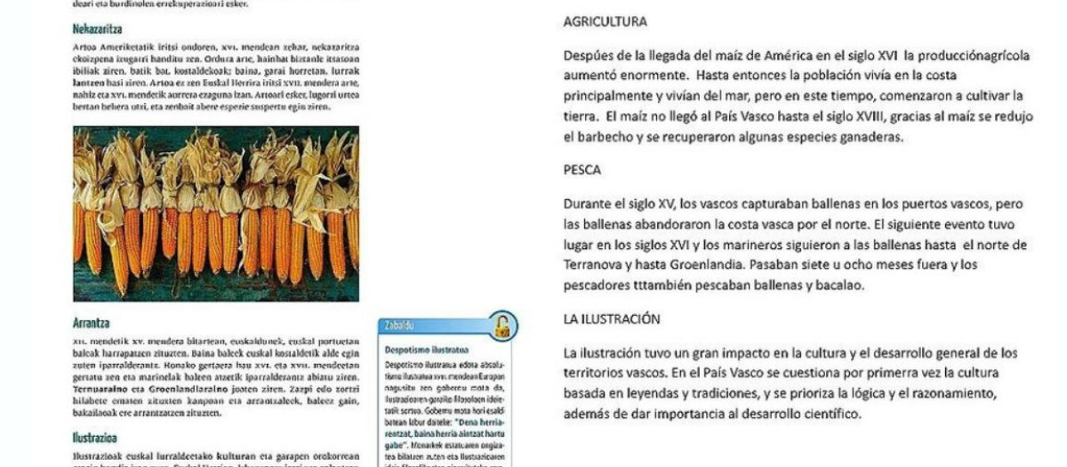 Imagen de un libro de texto del País Vasco y su traducción en español