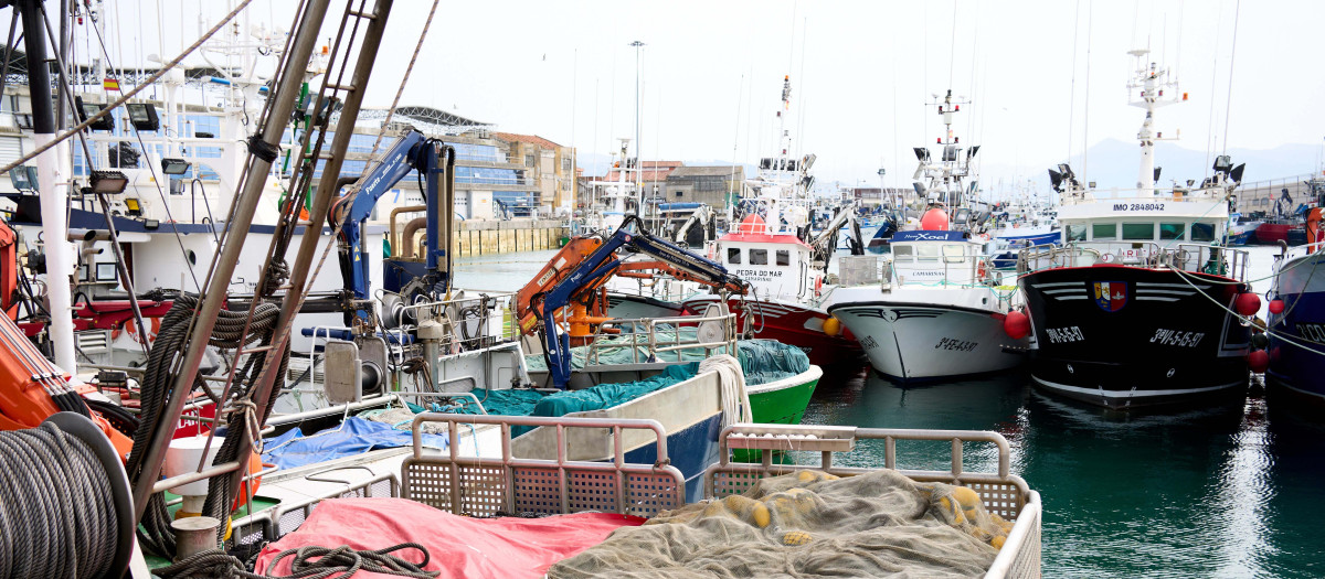 Barcos pesqueros atracados