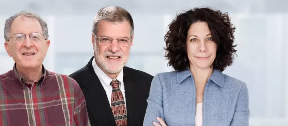 Los investigadores premiados