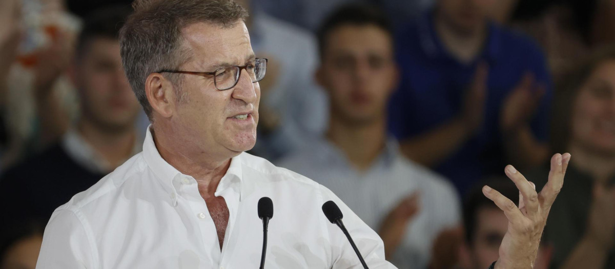El presidente del PP, Alberto Núñez Feijóo