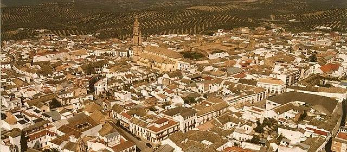 Vista aérea de Bujalance
