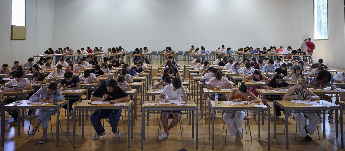 Un trabajo de la Universidad de Valladolid concluye que Castilla y León sale muy perjudicada
