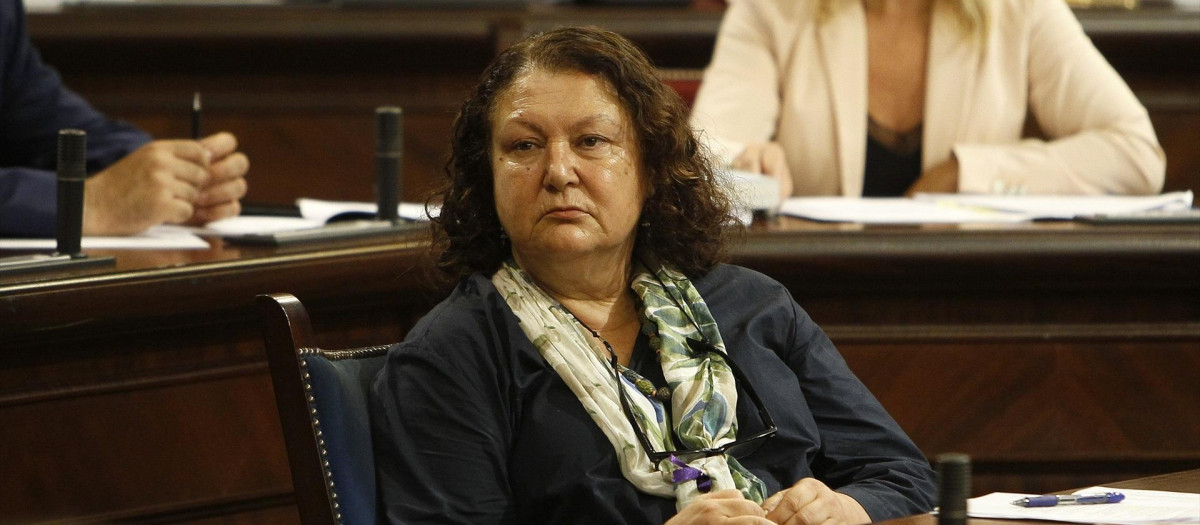 La consejera de Agricultura, Pesca y Alimentación, Maria Asunción Jacoba Pia de la Concha García- Mauriño durante la sesión en el Parlamento Balear con la ausencia de la presidencia del Govern y con la intervención de nuevos consellers, en Palma de Mallorca (España), a 24 de septiembre de 2019.
24 septiembre 2019, politica
Isaac Buj / Europa Press
(Foto de ARCHIVO)
24/9/2019