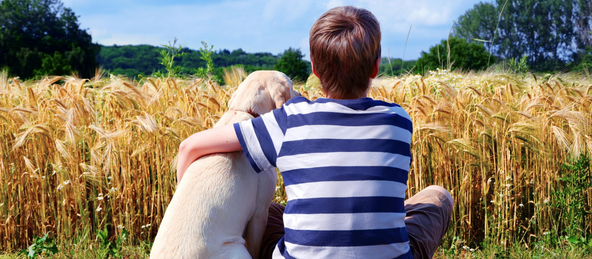 Un niño y su perro