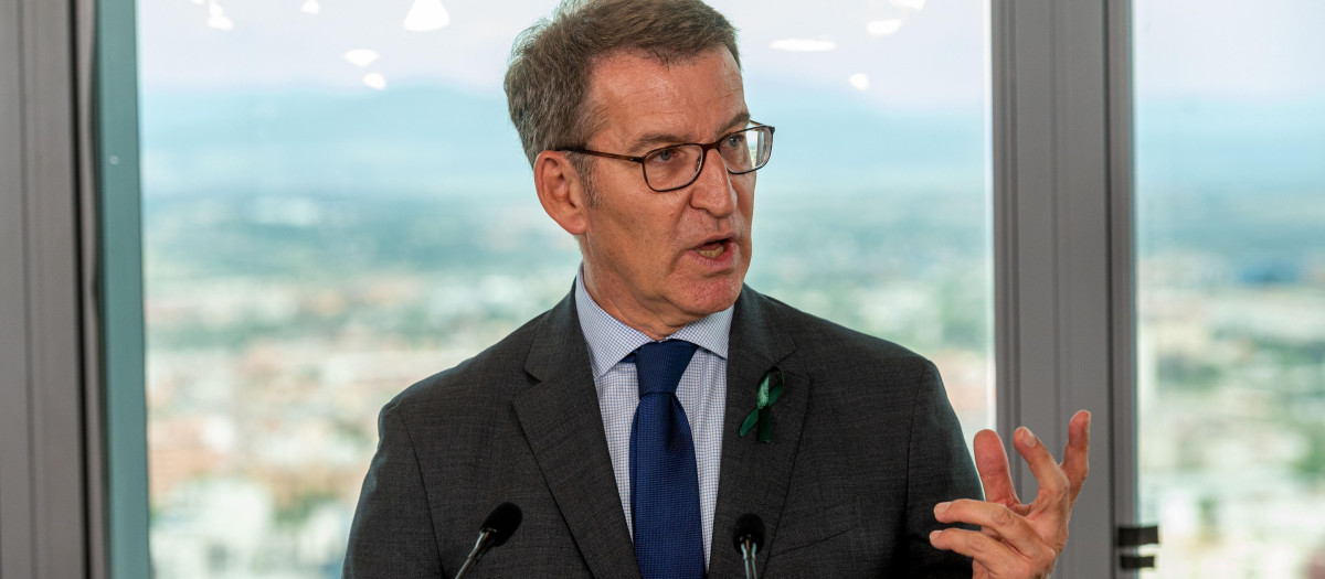 El presidente del Partido Popular, Alberto Núñez Feijóo