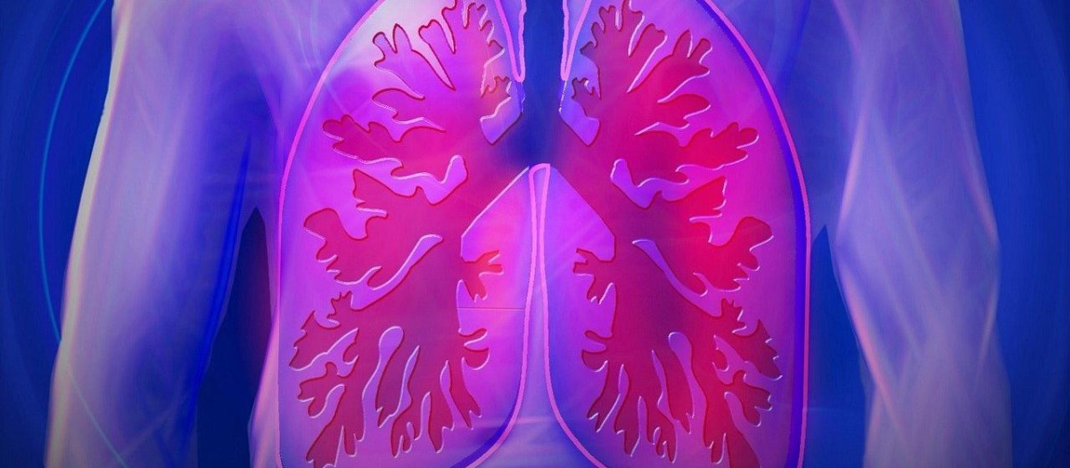 Ilustración de pulmones