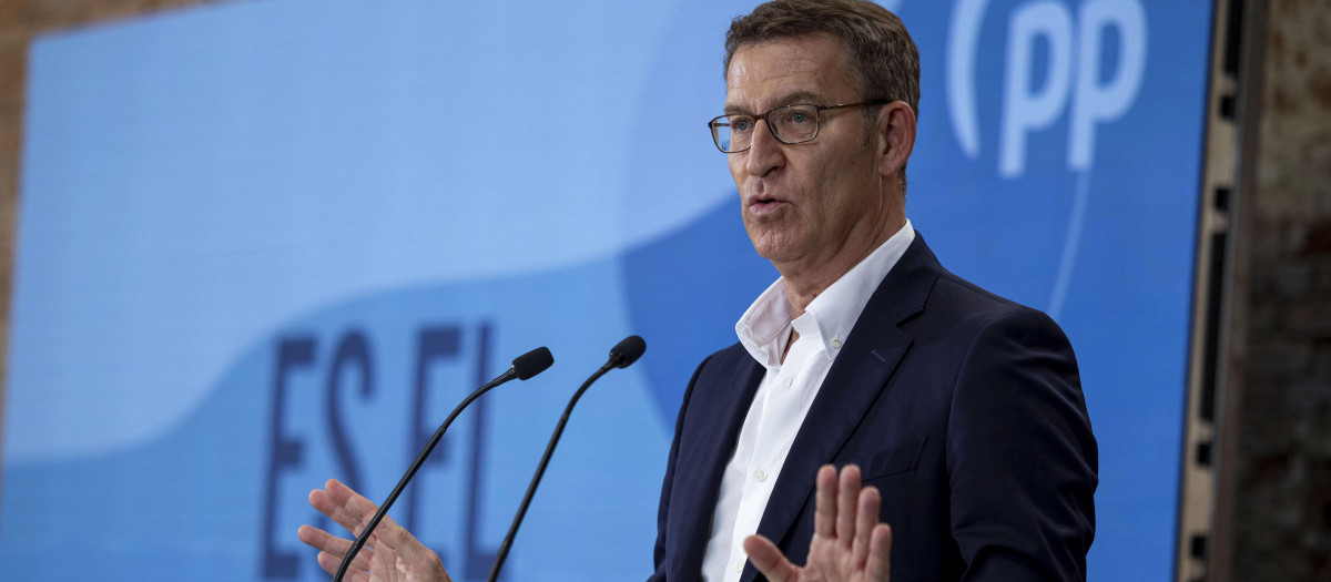 El líder del PP, Alberto Núñez Feijóo