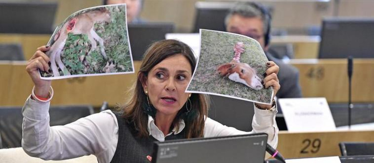 La eurodiputada Paula Fernández, en una de sus últimas intervenciones en Bruselas