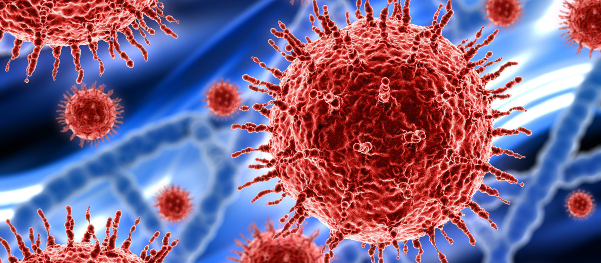 Foto recreada del enterovirus