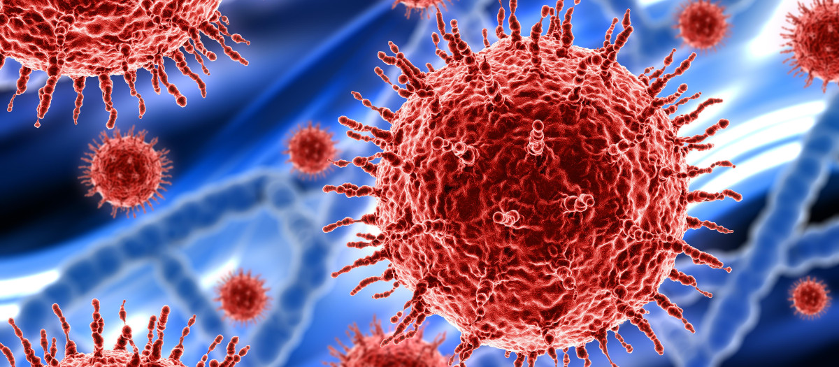 Foto recreada del enterovirus