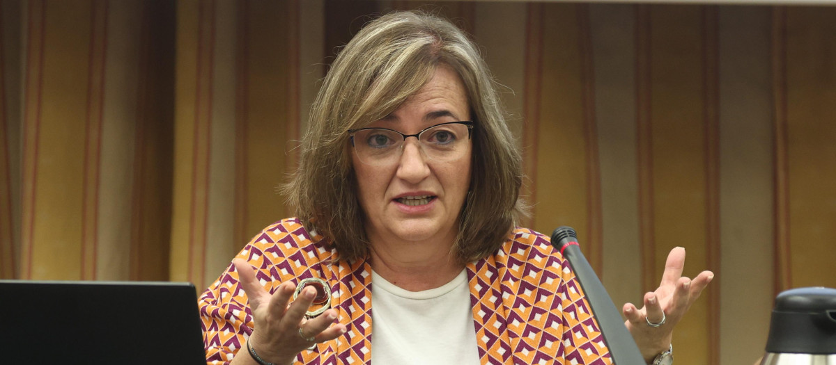 La presidenta de la Autoridad Independiente de Responsabilidad Fiscal (AIReF), Cristina Herrero