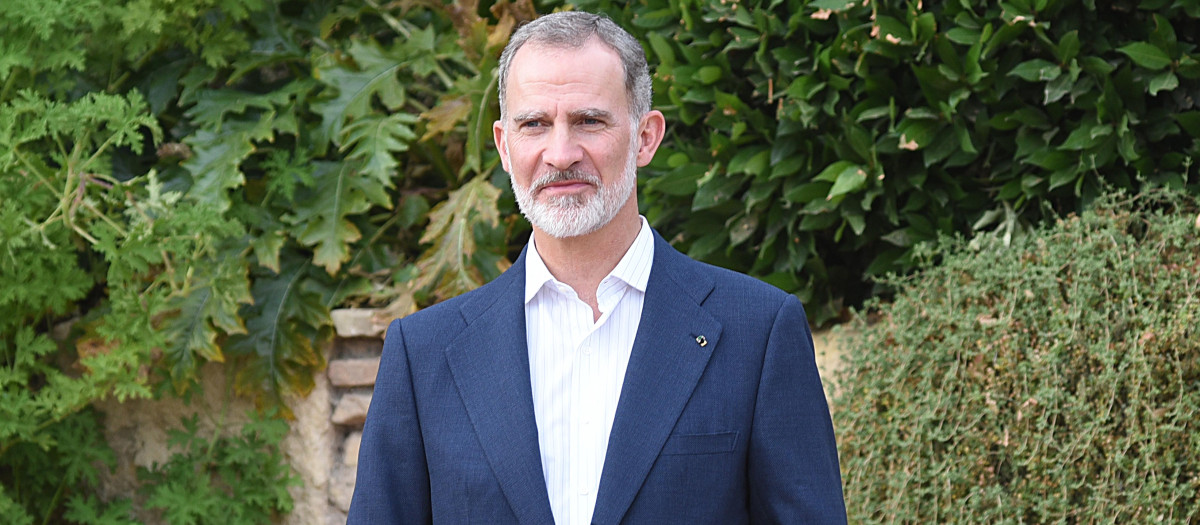 Spanish King Felipe VI during lunch ''Aqaba'' in Cordoba 19 June "023