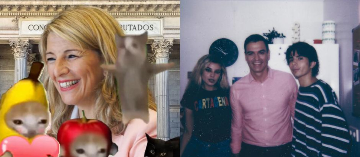 Gatos disfrazados de frutas o Sánchez en ‘La Pija y la Quinqui’