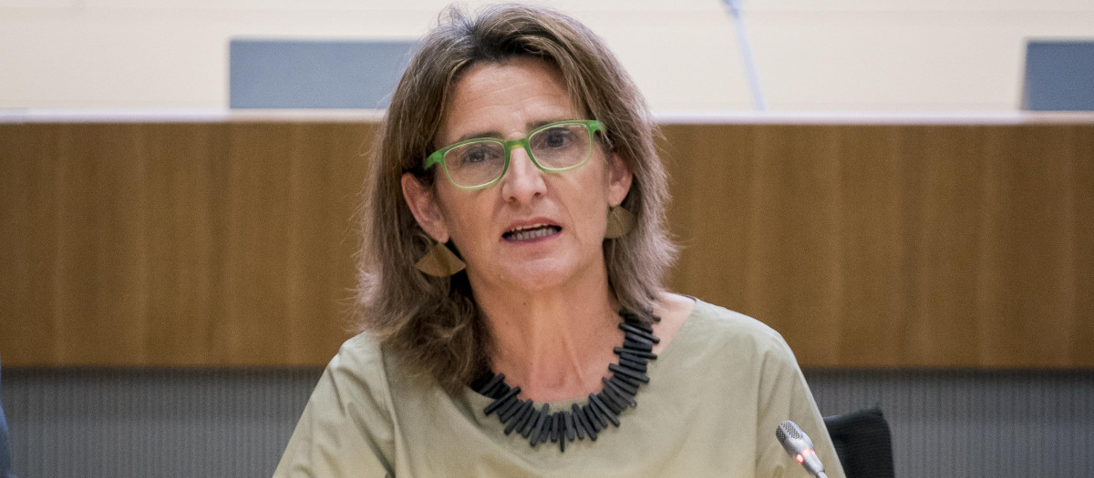 La vicepresidenta tercera y ministra para la Transición Ecológica y el Reto Demográfico, Teresa Ribera